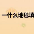 一什么地毯填合适的词三年级（一什么地毯）