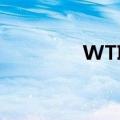 WTI原油期货日内涨超2%