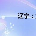辽宁：支持产业创新和集群发展
