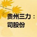 贵州三力：控股股东承诺18个月内不减持公司股份