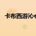 卡布西游沁心果怎么用（卡布西游沁心果）