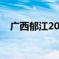 广西郁江2024年第1号洪水洪峰通过南宁