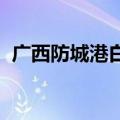 广西防城港白龙核电项目一期工程建设启动