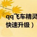 qq飞车精灵怎么进阶稀有（qq飞车精灵怎么快速升级）