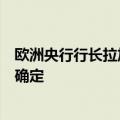 欧洲央行行长拉加德：欧洲央行的降息时间和幅度均未预先确定