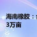 海南橡胶：台风“摩羯”致橡胶种植园报废23万亩