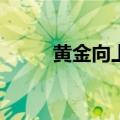 黄金向上触及2540美元 再创新高