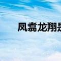 凤翥龙翔是什么意思（翔是什么意思）