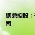 鹏鼎控股：子公司拟1.8亿元投资成立合资公司