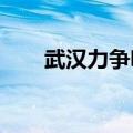 武汉力争明年北斗产业规模达千亿元