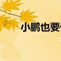 小鹏也要做增程车，首款车明年量产