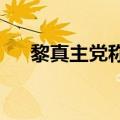 黎真主党称向以军防空基地发射火箭弹