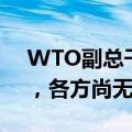 WTO副总干事张向晨：什么是“绿色补贴”，各方尚无共识