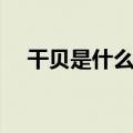 干贝是什么地方取出来的（干贝是什么）