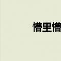 懵里懵懂的意思（懵懂的意思）