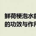 鲜荷梗泡水的功效与作用是什么（鲜荷梗泡水的功效与作用）
