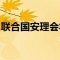 联合国安理会将就西方向乌供武问题举行会议