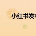 小红书发布快捷投放工具“聚光Lite”