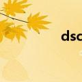 dsc图谱如何分析（dsc）