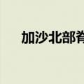 加沙北部脊髓灰质炎疫苗接种工作结束