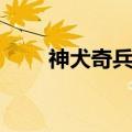 神犬奇兵剧情分集介绍（军犬奇兵）