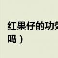 红果仔的功效与作用可以吃吗（红果仔可以吃吗）