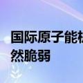 国际原子能机构总干事：乌克兰核安全局势仍然脆弱