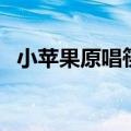 小苹果原唱筷子兄弟歌曲（筷子兄弟歌曲）
