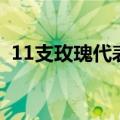 11支玫瑰代表什么寓意和象征（11支玫瑰）