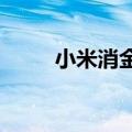 小米消金获批开展资产证券化业务