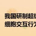 我国研制超级显微镜首次全景“看到”大规模细胞交互行为