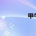 甲午年是哪年（甲午年）