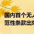 国内首个无人驾驶航空第三者责任保险地区示范性条款出炉