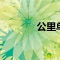 公里单位是什么（公里单位）