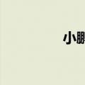 小鹏首款增程车明年量产