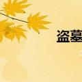 盗墓空间男主（盗墓空间）