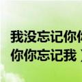 我没忘记你你忘记我的歌名叫什么（我没忘记你你忘记我）