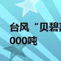 台风“贝碧嘉”逐渐逼近，上海已抢收蔬菜8000吨