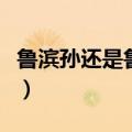 鲁滨孙还是鲁滨逊鲁滨逊（鲁滨孙还是鲁滨逊）