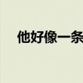 他好像一条狗啊图片（他好像一条狗啊）