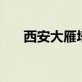 西安大雁塔玄奘的故事（玄奘的故事）