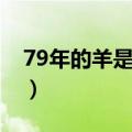 79年的羊是什么命男人（79年的羊是什么命）