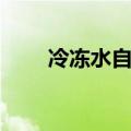 冷冻水自动加药装置（极冻水加农）