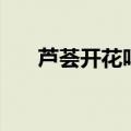 芦荟开花吗在什么季节（芦荟开花吗）