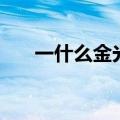 一什么金光填空三年级（一什么金光）