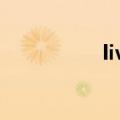 live是什么意思（liv）