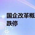国企改革概念异动下跌 保变电气、海南海药跌停