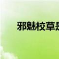 邪魅校草是女生（邪恶校草的拽丫头）