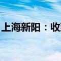 上海新阳：收到中国证监会上海监管局警示函