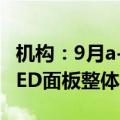 机构：9月a-Si面板需求延续向好 柔性AMOLED面板整体需求回升